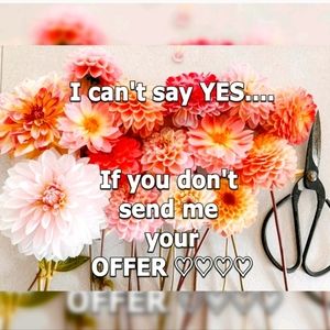 Reasonable Offers Happily Reviewed for Acceptance 😊